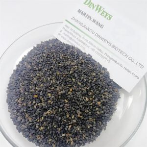 Dinweys Ausgewählter schwarzer Sesam