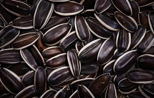 How to Eat Sunflower Seeds？ 