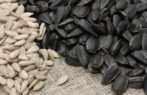 How to Eat Sunflower Seeds？ 