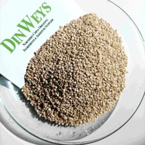 Quinoa in großen Mengen