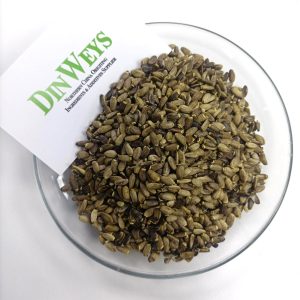 milk thistle seed