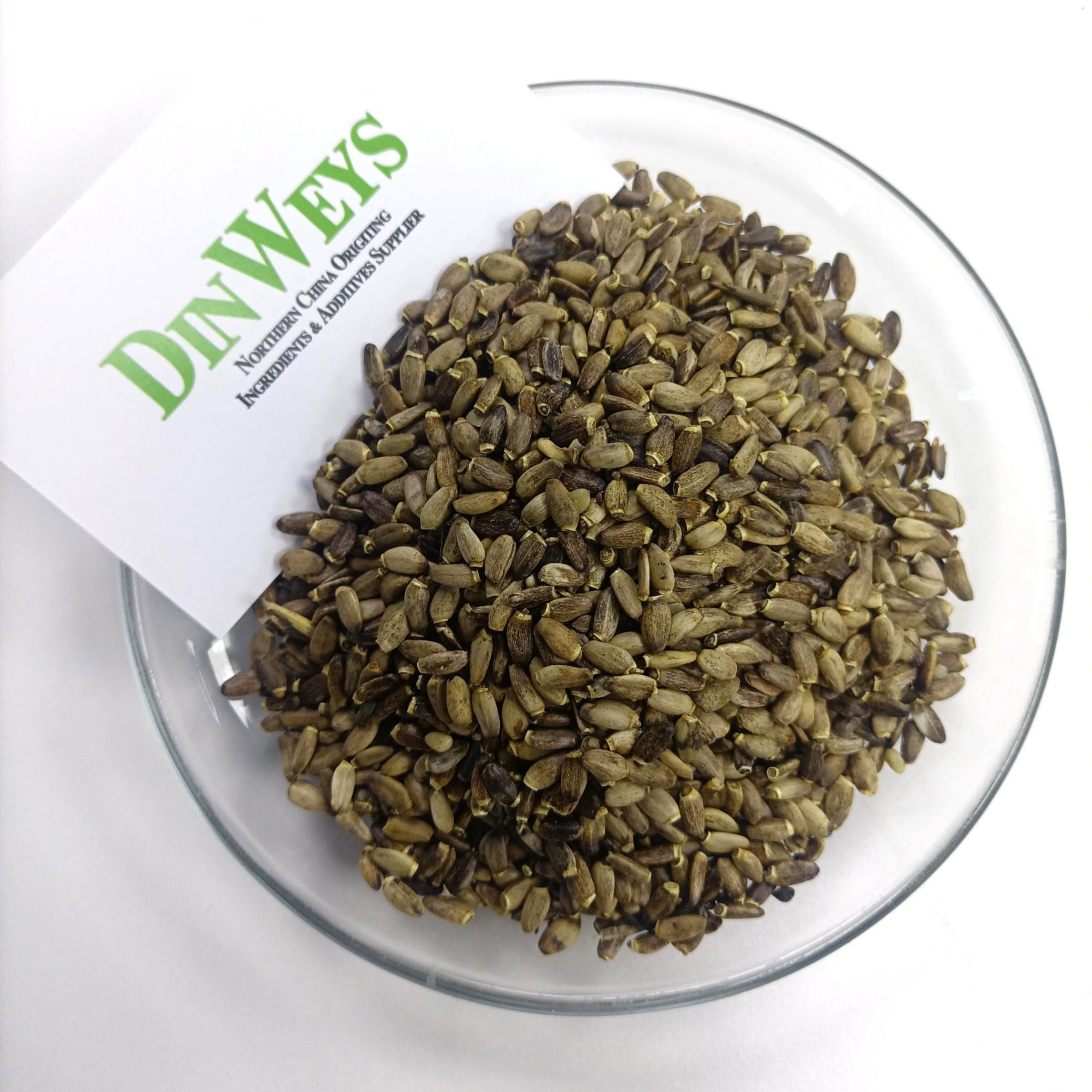 When to Take Milk Thistle Morning or Night?  You Must Read This