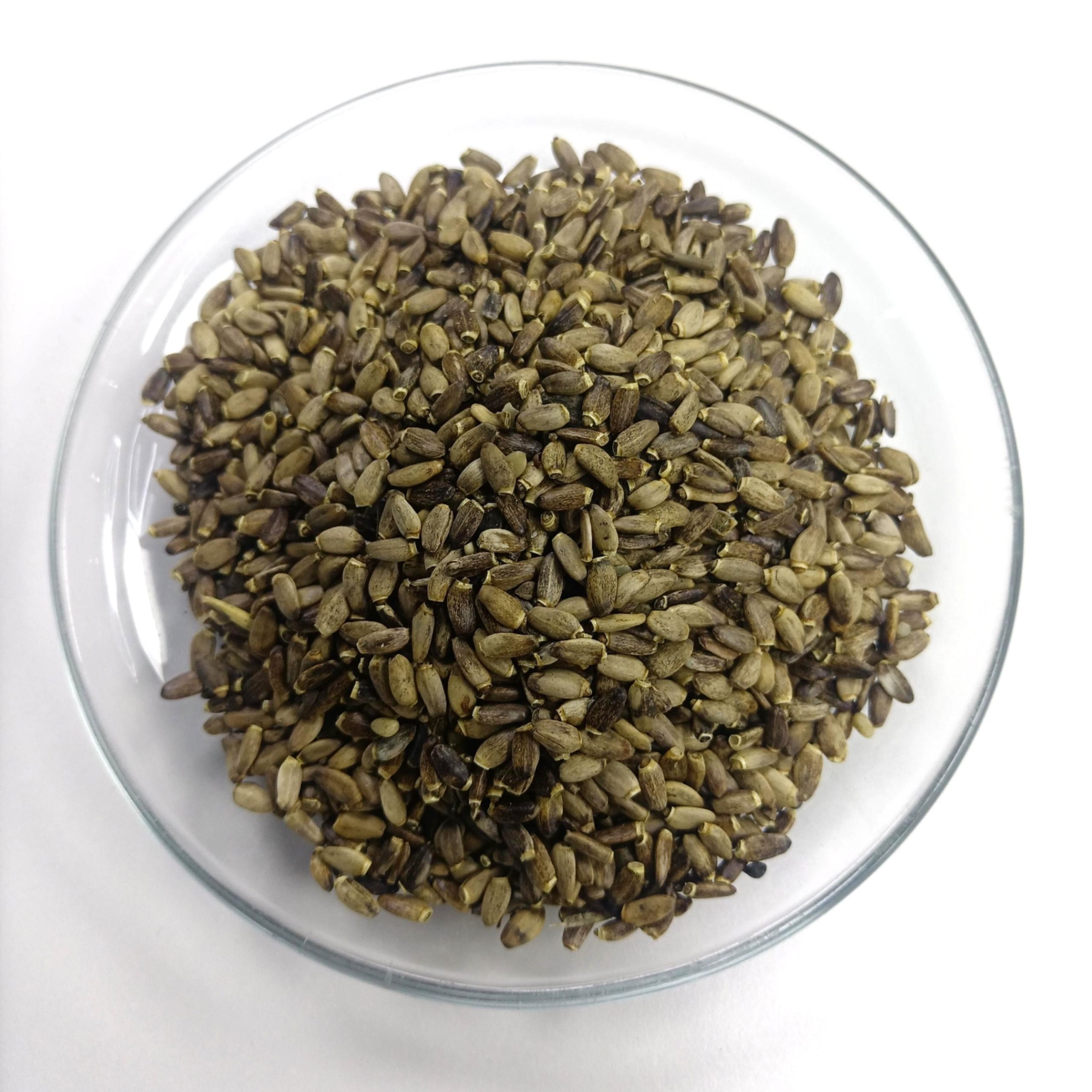 Milk Thistle Seed Best Price in China | Whole Sale Direct From Farm