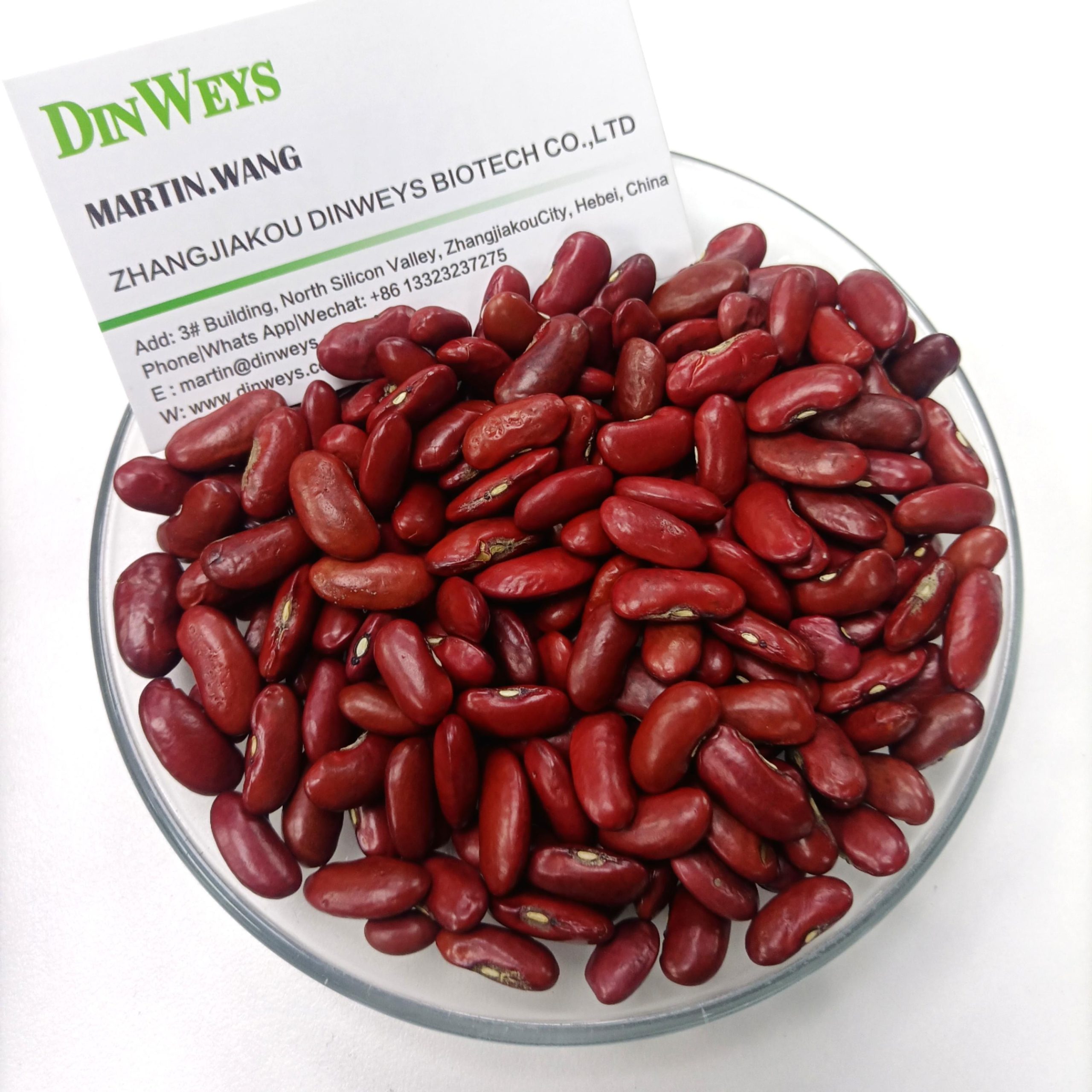Bulk Red Kidney Beans Good Quality – Dinweys Supply