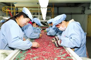 Red kidney peas 
