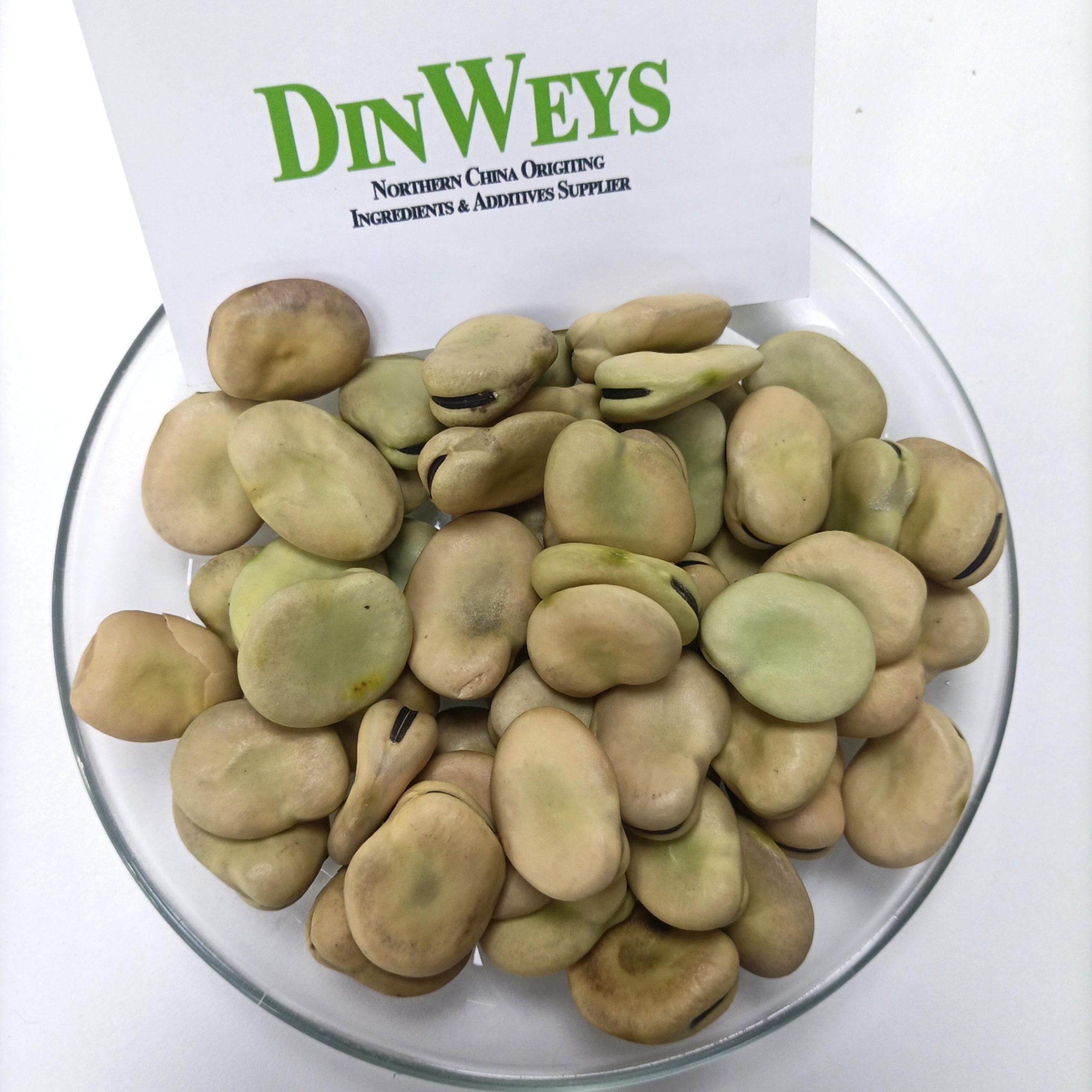 Fava Beans Nutrition Facts: A Supplier’s Insight into Protein, Fiber, and Functional Value