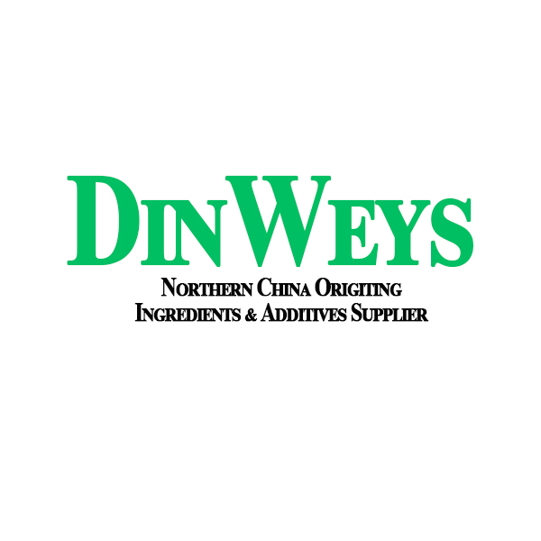 Dinweys Co.,Ltd logo