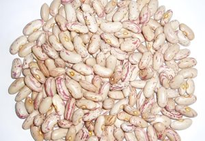 speckled kidney beans