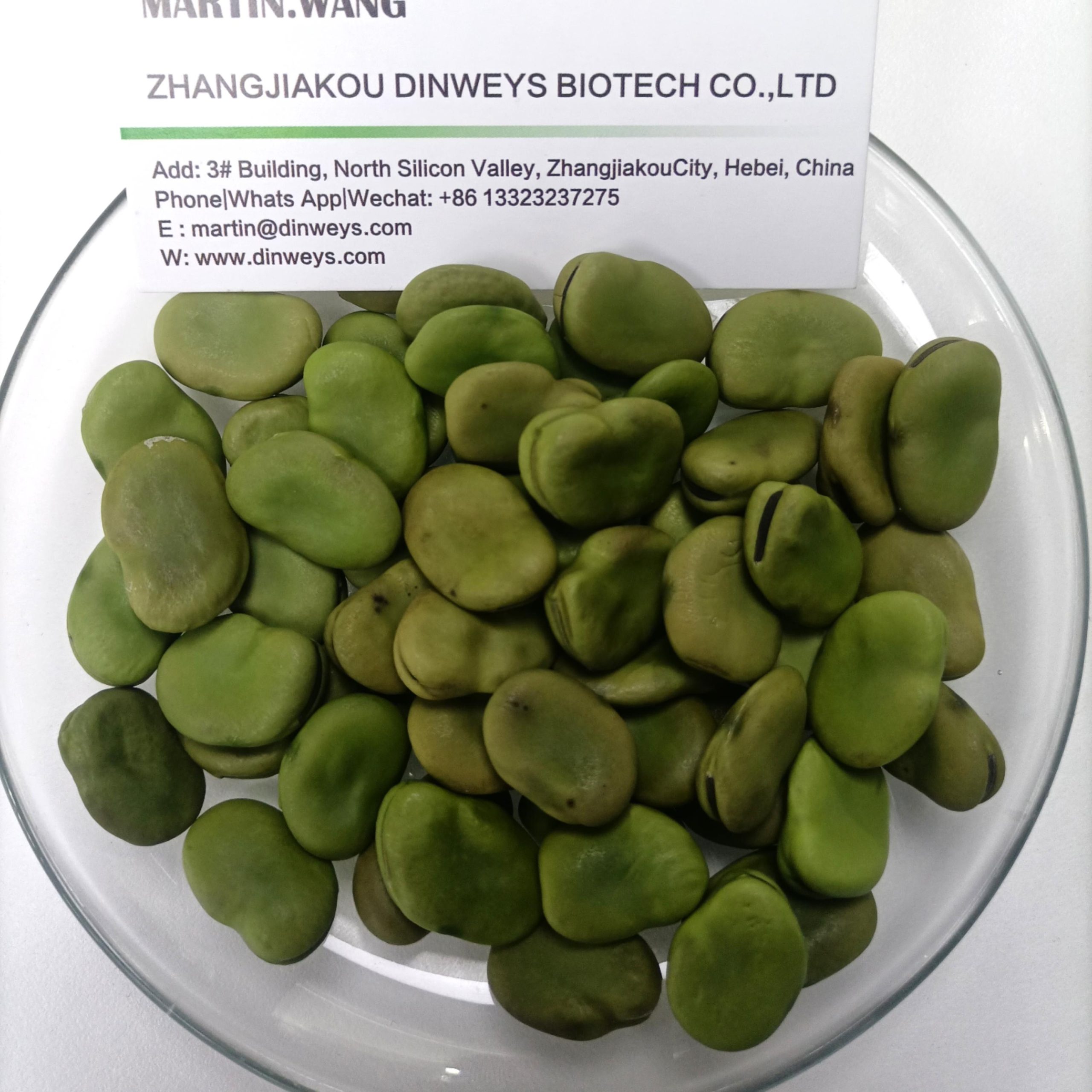 bulk broad beans