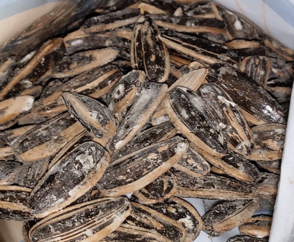 Do Sunflower Seeds Go Bad