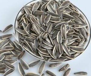 Does Sunflower Seeds Cause Diarrhea